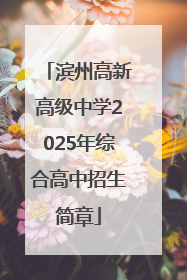 滨州高新高级中学2025年综合高中招生简章