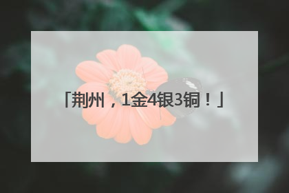 荆州，1金4银3铜！