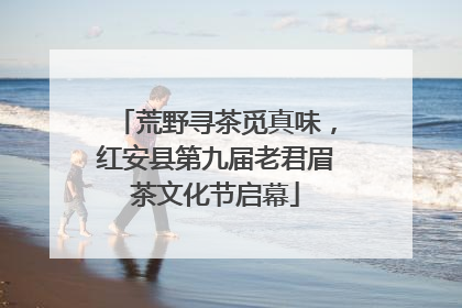 荒野寻茶觅真味，红安县第九届老君眉茶文化节启幕