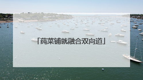莼菜铺就融合双向道