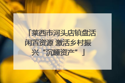 莱西市河头店镇盘活闲置资源 激活乡村振兴“沉睡资产”