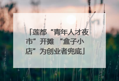 莲都“青年人才夜市”开摊 “盒子小店”为创业者兜底