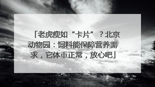 老虎瘦如“卡片”？北京动物园：饲料能保障营养需求，它体重正常，放心吧