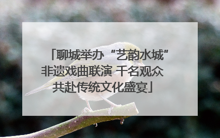 聊城举办“艺韵水城”非遗戏曲联演 千名观众共赴传统文化盛宴