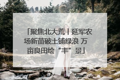 聚焦北大荒丨延军农场新苗破土铺绿浪 万亩良田绘“丰”景