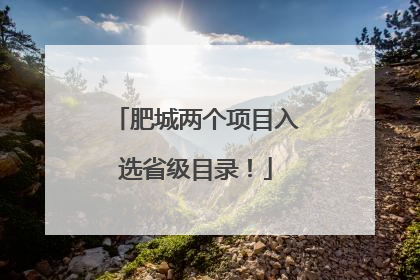 肥城两个项目入选省级目录！