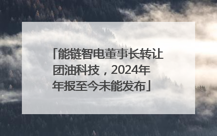 能链智电董事长转让团油科技，2024年年报至今未能发布