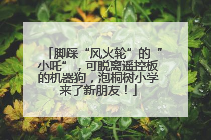脚踩“风火轮”的“小吒”，可脱离遥控板的机器狗，泡桐树小学来了新朋友！