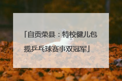 自贡荣县：特校健儿包揽乒乓球赛事双冠军