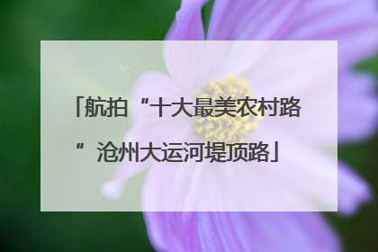 航拍“十大最美农村路”沧州大运河堤顶路