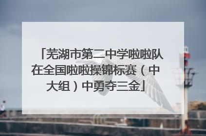 芜湖市第二中学啦啦队在全国啦啦操锦标赛（中大组）中勇夺三金