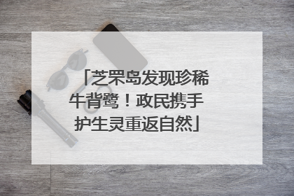 芝罘岛发现珍稀牛背鹭！政民携手护生灵重返自然