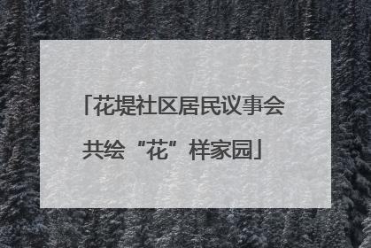 花堤社区居民议事会共绘“花”样家园