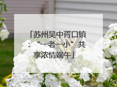苏州吴中胥口镇：“一老一小”共享浓情端午