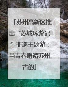 苏州高新区推出“苏城环游记”非遗主题游：当青春邂逅苏州古韵