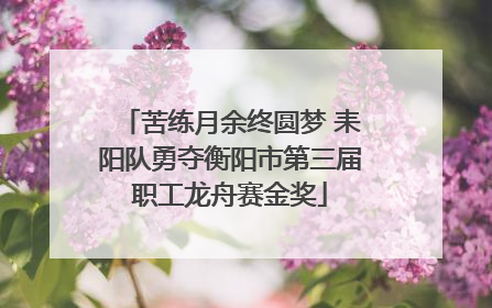 苦练月余终圆梦 耒阳队勇夺衡阳市第三届职工龙舟赛金奖