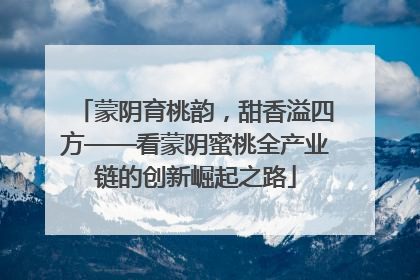 蒙阴育桃韵，甜香溢四方——看蒙阴蜜桃全产业链的创新崛起之路