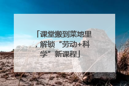 课堂搬到菜地里，解锁“劳动+科学”新课程