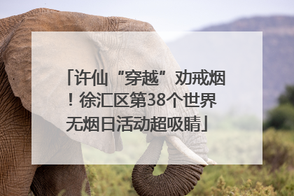 许仙“穿越”劝戒烟！徐汇区第38个世界无烟日活动超吸睛