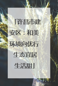 许昌市建安区：和美环境向优行 生态宜居生活甜