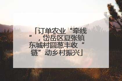 订单农业“牵线”，岱岳区夏张镇东城村圆葱丰收“链”动乡村振兴