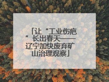 让“工业伤疤”长出春天——辽宁加快废弃矿山治理观察