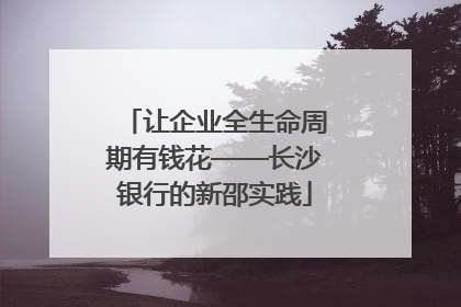 让企业全生命周期有钱花——长沙银行的新邵实践