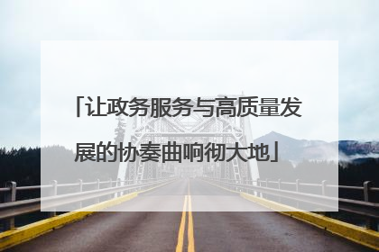 让政务服务与高质量发展的协奏曲响彻大地