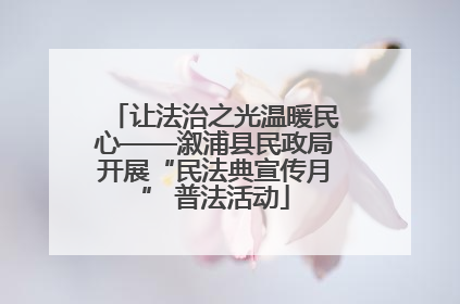 让法治之光温暖民心——溆浦县民政局开展“民法典宣传月” 普法活动