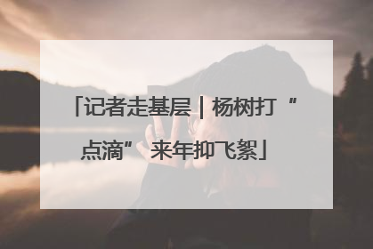 记者走基层｜杨树打“点滴” 来年抑飞絮