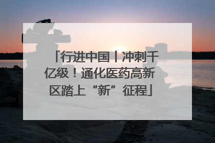 行进中国丨冲刺千亿级！通化医药高新区踏上“新”征程