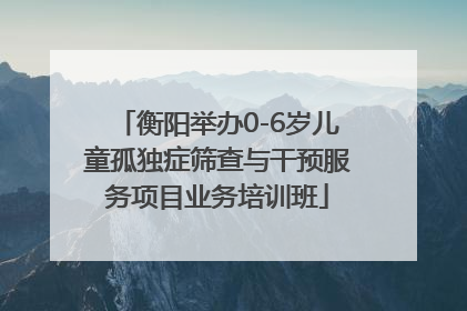 衡阳举办0-6岁儿童孤独症筛查与干预服务项目业务培训班
