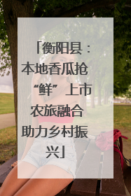 衡阳县：本地香瓜抢“鲜”上市 农旅融合助力乡村振兴