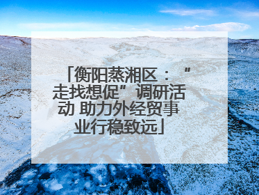 衡阳蒸湘区：“走找想促”调研活动 助力外经贸事业行稳致远