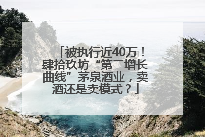 被执行近40万！肆拾玖坊“第二增长曲线”茅泉酒业，卖酒还是卖模式？