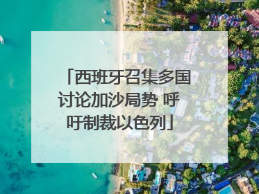 西班牙召集多国讨论加沙局势 呼吁制裁以色列