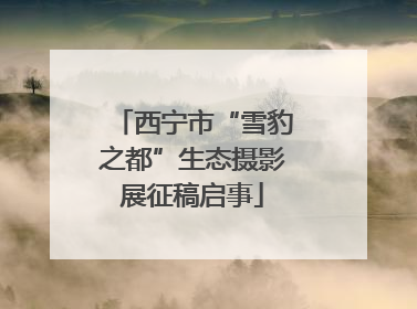 西宁市“雪豹之都”生态摄影展征稿启事