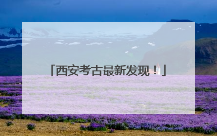 西安考古最新发现！