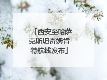 西安至哈萨克斯坦奇姆肯特航线发布