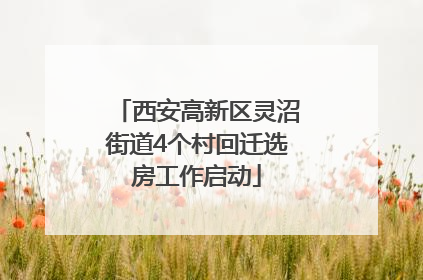 西安高新区灵沼街道4个村回迁选房工作启动