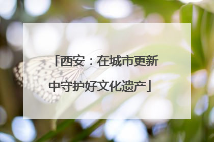 西安：在城市更新中守护好文化遗产