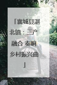 襄城县湛北镇：三产融合 奏响乡村振兴曲