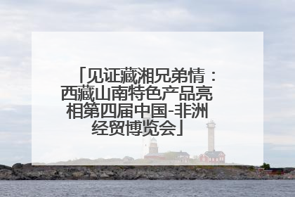 见证藏湘兄弟情：西藏山南特色产品亮相第四届中国-非洲经贸博览会