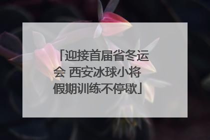 迎接首届省冬运会 西安冰球小将假期训练不停歇