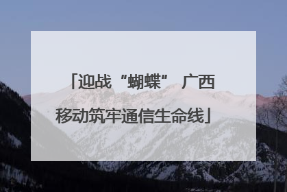 迎战“蝴蝶” 广西移动筑牢通信生命线