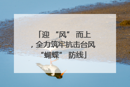 迎 “风” 而上，全力筑牢抗击台风 “蝴蝶” 防线