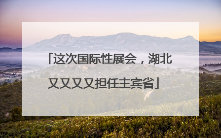 这次国际性展会，湖北又又又又担任主宾省