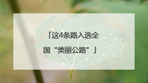 这4条路入选全国“美丽公路”