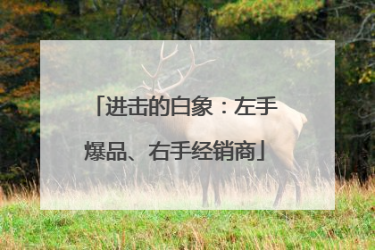 进击的白象：左手爆品、右手经销商