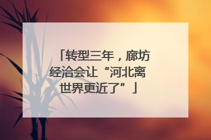 转型三年，廊坊经洽会让“河北离世界更近了”